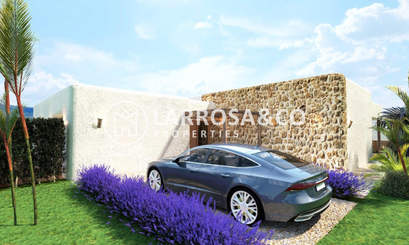 New build - Detached House/Villa - Pinoso - Rodriguillo