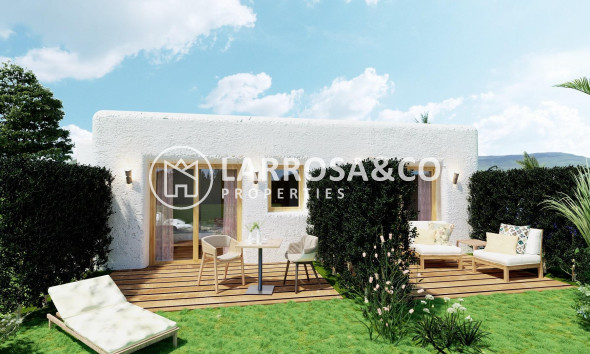 New build - Detached House/Villa - Pinoso - Rodriguillo