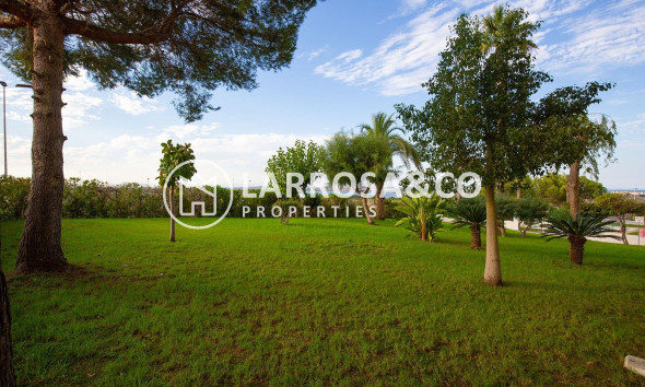 Resale - Apartment - Torrevieja - Torreblanca