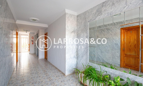 Resale - Apartment - Torrevieja - Torreblanca