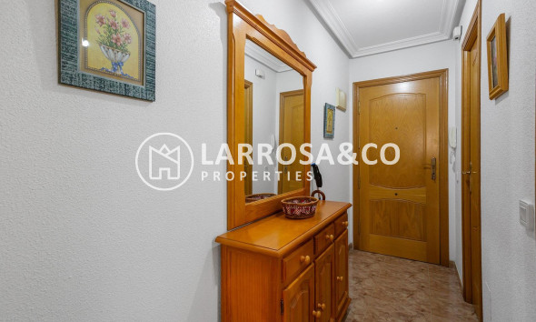 Вторичный рынок - Квартира - Торревьеха - Estacion de autobuses