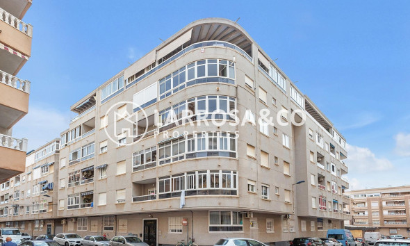 Вторичный рынок - Квартира - Торревьеха - Estacion de autobuses