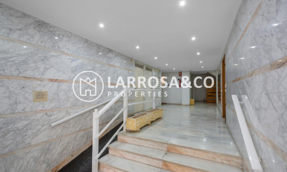 Вторичный рынок - Квартира - Торревьеха - Estacion de autobuses