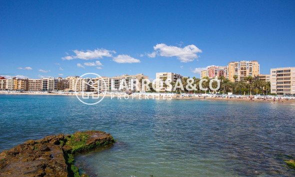 Вторичный рынок - Квартира - Торревьеха - Estacion de autobuses