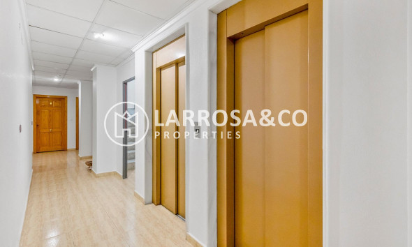 A Vendre - Apartment - Torrevieja - Estacion de autobuses