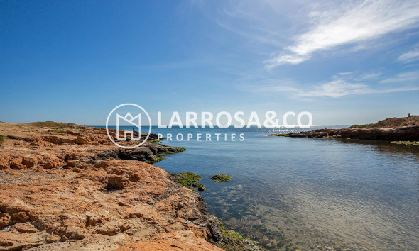 A Vendre - Apartment - Torrevieja - Estacion de autobuses