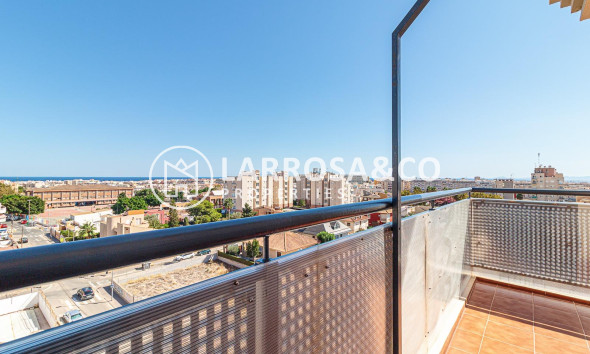 Вторичный рынок - Пентхаус - Торревьеха - Nueva Torrevieja