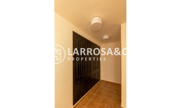 New build - Detached House/Villa - Fuente Álamo - Las Palas