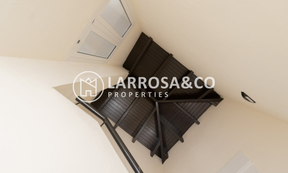 New build - Detached House/Villa - Fuente Álamo - Las Palas