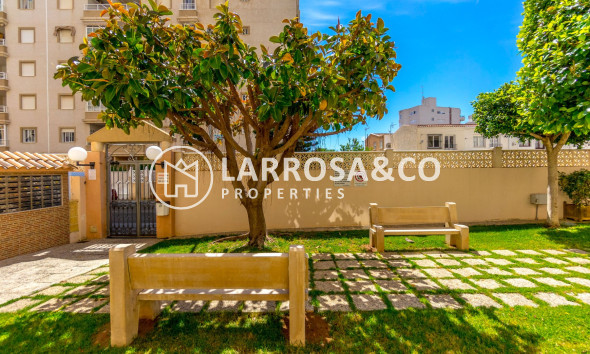 Resale - Apartment - Torrevieja - Centro