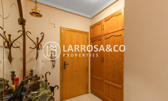 Вторичный рынок - Квартира - Торревьеха - Estacion de autobuses