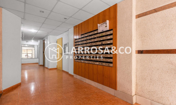 Вторичный рынок - Квартира - Торревьеха - Estacion de autobuses