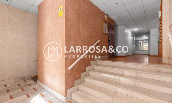 Вторичный рынок - Квартира - Торревьеха - Estacion de autobuses