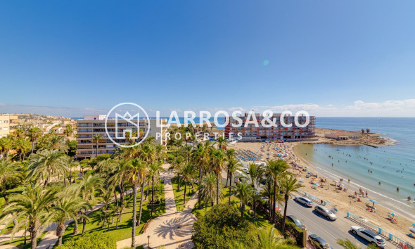 Herverkoop - Apartment - Torrevieja - Los Locos Beach