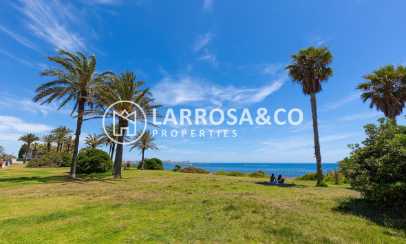 Вторичный рынок - Дом - Торревьеха - La veleta