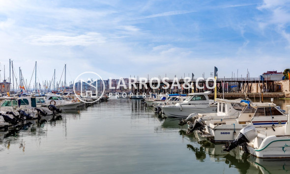 A Vendre - Apartment - Torrevieja - Centro