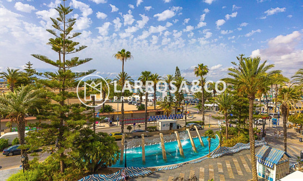 A Vendre - Apartment - Torrevieja - Centro