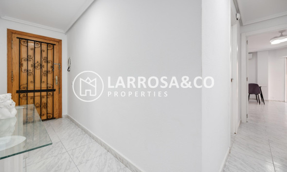 Reventa - Apartamento - Torrevieja - Playa Los Locos