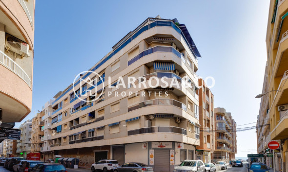 Reventa - Apartamento - Torrevieja - Playa Los Locos