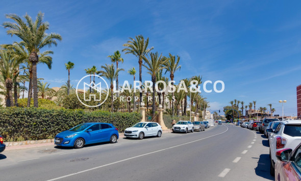 Reventa - Apartamento - Torrevieja - Playa Los Locos