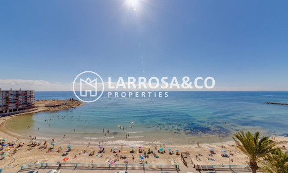 Reventa - Apartamento - Torrevieja - Playa Los Locos
