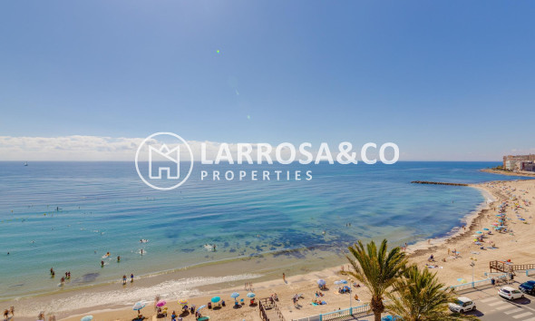 Reventa - Apartamento - Torrevieja - Playa Los Locos