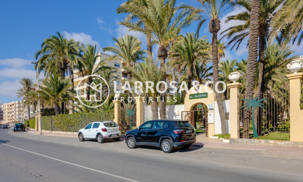 Reventa - Apartamento - Torrevieja - Playa Los Locos