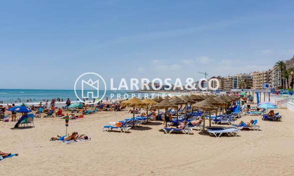 Reventa - Apartamento - Torrevieja - Playa Los Locos