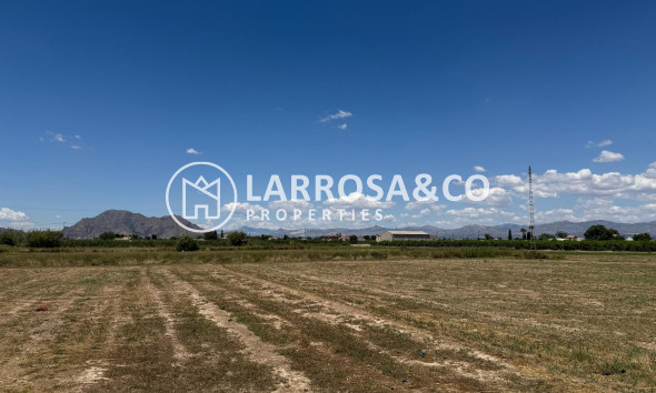 Herverkoop - Apartment - Almoradí