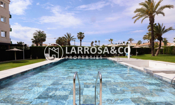 Resale - Apartment - Torrevieja - Playa Flamenca