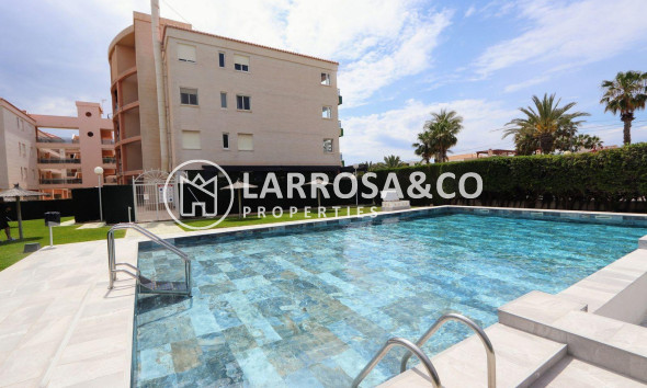 Resale - Apartment - Torrevieja - Playa Flamenca