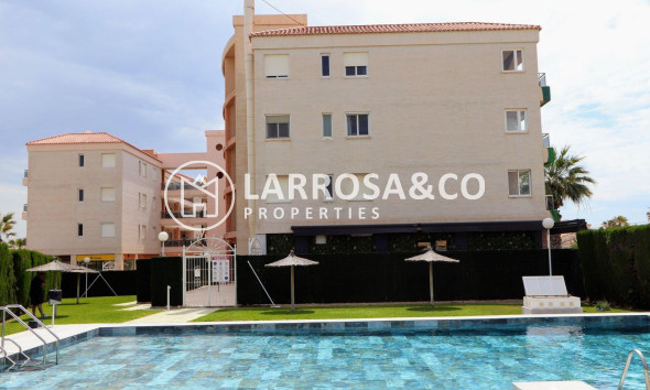 Resale - Apartment - Torrevieja - Playa Flamenca
