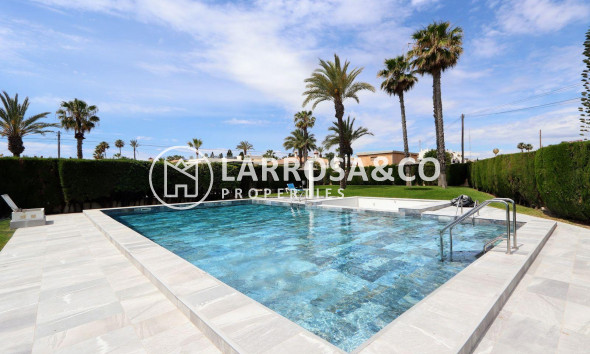 Resale - Apartment - Torrevieja - Playa Flamenca