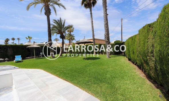 Resale - Apartment - Torrevieja - Playa Flamenca