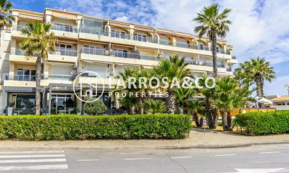 Resale - Apartment - Torrevieja - Playa Flamenca