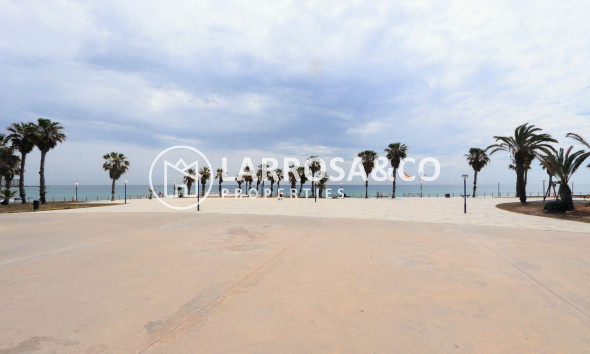 Resale - Apartment - Torrevieja - Playa Flamenca