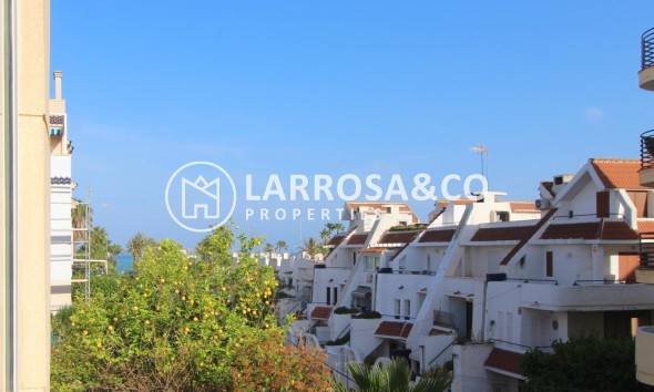 A Vendre - Apartment - Torrevieja - La veleta