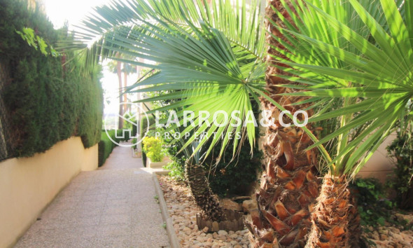 A Vendre - Apartment - Torrevieja - La veleta