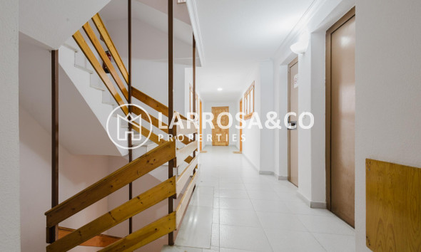 Resale - Apartment - Torrevieja - Playa de La Acequion