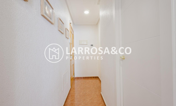 Reventa - Apartamento - Torrevieja - Centro