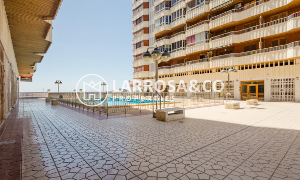 A Vendre - Apartment - Torrevieja - Playa del Acequión