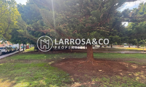 Resale - Apartment - Torrevieja - Playa del Acequión