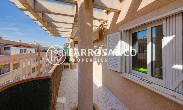 Вторичный рынок - Квартира - Торревьеха - Parque de las Naciones