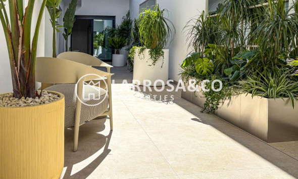 Obra Nueva - Chalet - Ciudad Quesada