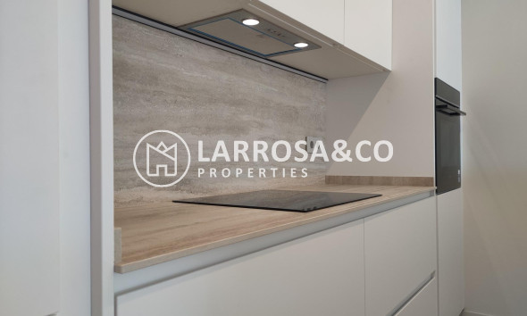 Obra Nueva - Chalet - Ciudad Quesada