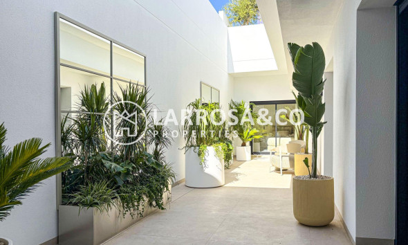 Obra Nueva - Chalet - Ciudad Quesada