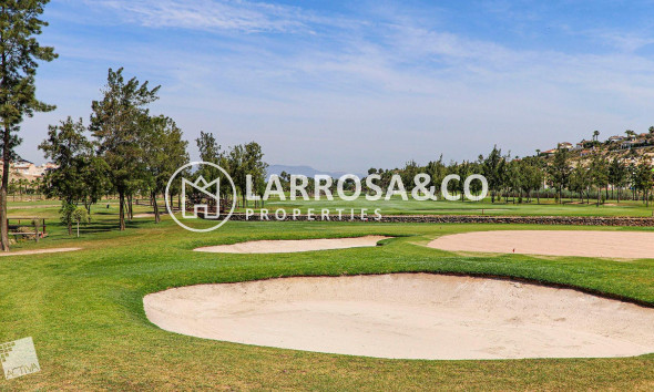 Obra Nueva - Chalet - Ciudad Quesada