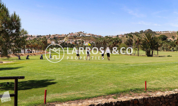 Obra Nueva - Chalet - Ciudad Quesada