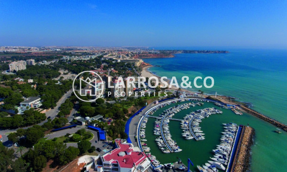 Nouvelle Construction - Apartment - Orihuela costa - Campoamor