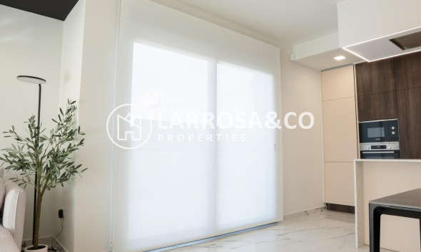 New build - Detached House/Villa - Ciudad Quesada - Lo marabú